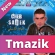 Cheb Sadek 2014   Bye Bye Alik