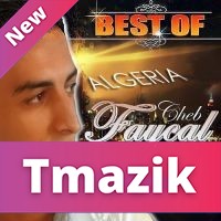 Best Of Faycal Mix 2011