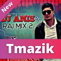 Dj Anis25 - Rai Mix Vol2 2013