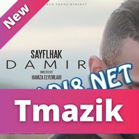 Sayflhak 2017 - Damir