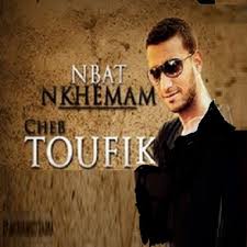 شاب توفيق